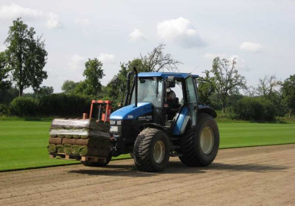 rollrase_versandfertig-2019373497_width600 (1)